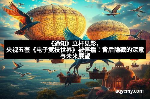 《通知》立杆见影,央视五套《电子竞技世界》被停播:背后隐藏的深意与未来展望